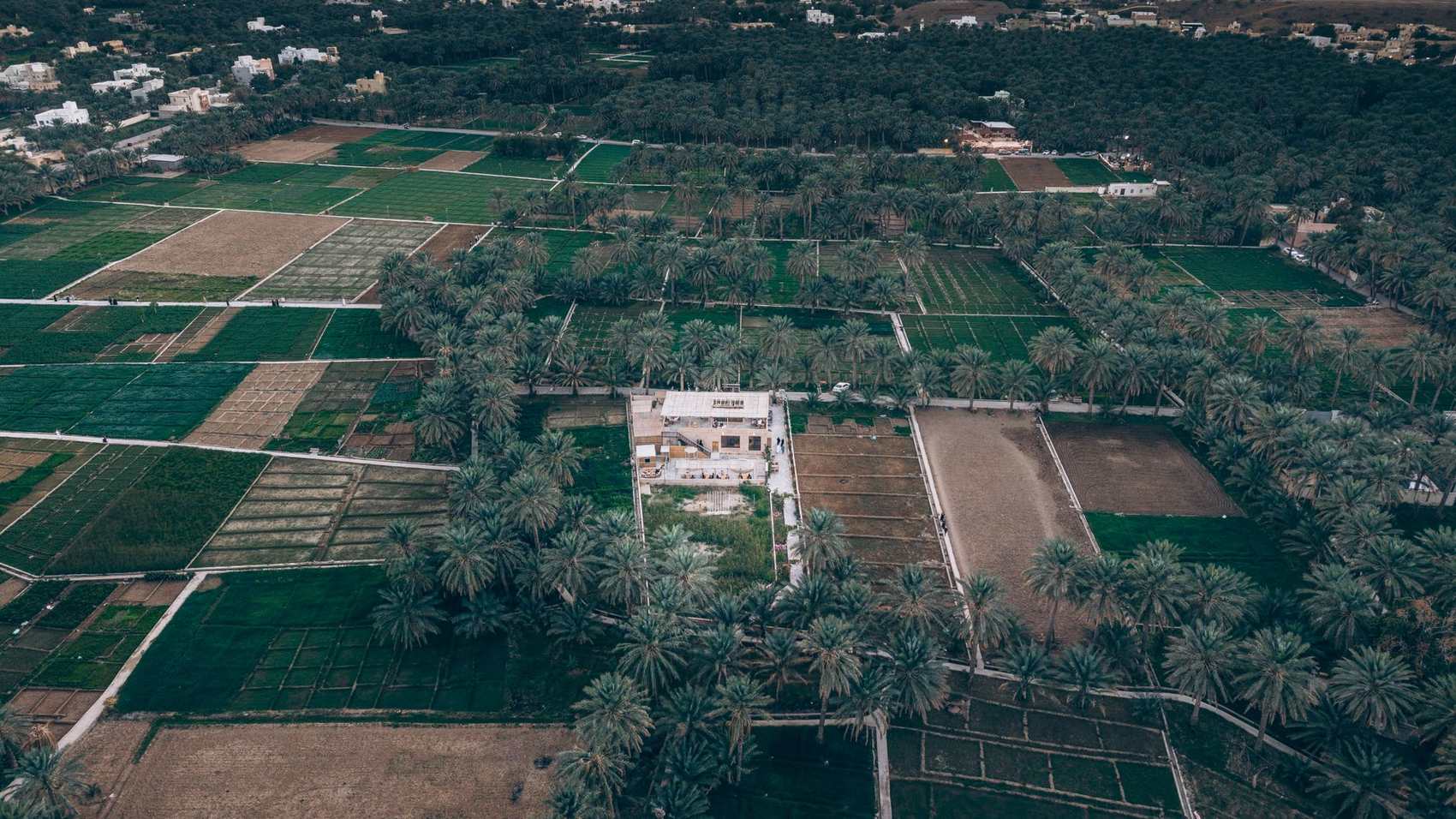 Aerial view of the farm oasis