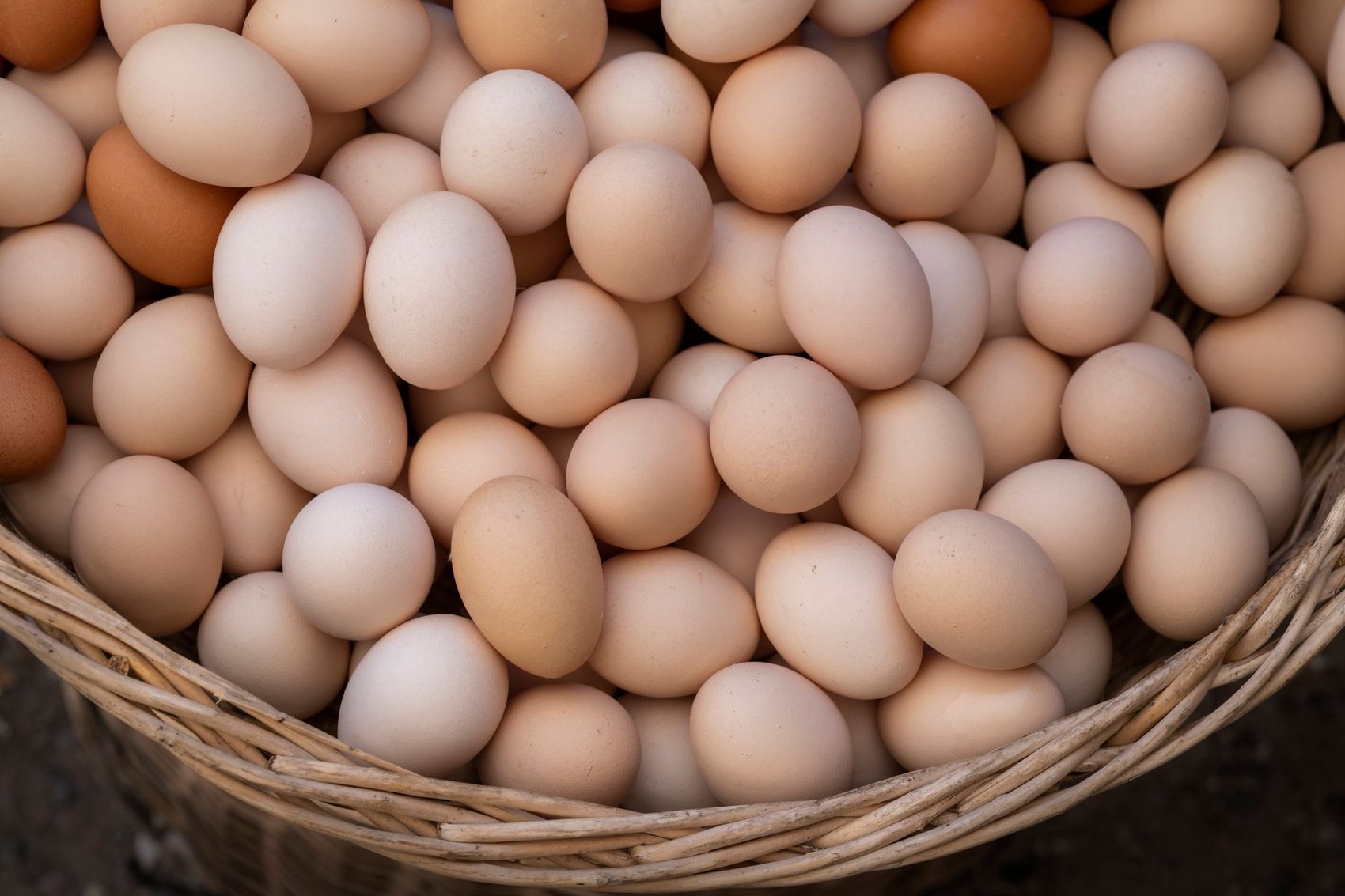 Why Home-Grown Eggs Actually Taste Different